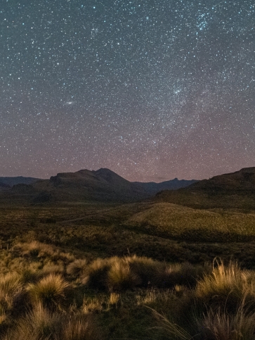 Rights of Nature article